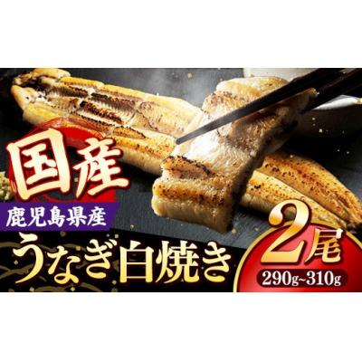 ふるさと納税 筑前町 国産 うなぎ 白焼き(鹿児島県産) 2尾 (290〜310g)