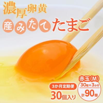 ふるさと納税 古河市 [定期便(3カ月)]小久保ファーム 濃厚卵黄 産みたてたまご 赤玉30個入り(M玉) _EI04