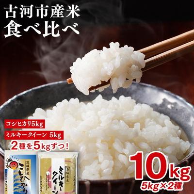 ふるさと納税 古河市 令和7年産 古河のお米食べ比べセット(コシヒカリ・ミルキークイーン)計10kg _DP04