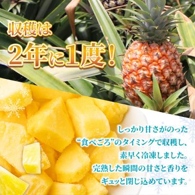 ふるさと納税 石垣市 石垣島産 冷凍カットパイナップル 200g×5袋 計1kg |  | 01