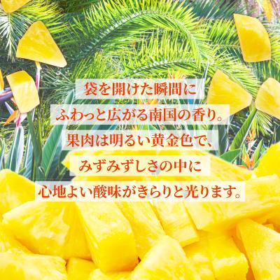 ふるさと納税 石垣市 石垣島産 冷凍カットパイナップル 200g×5袋 計1kg |  | 02