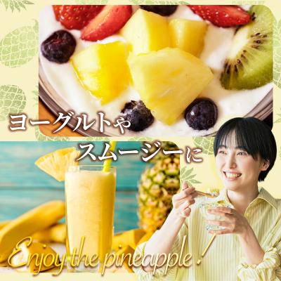 ふるさと納税 石垣市 石垣島産 冷凍カットパイナップル 200g×5袋 計1kg |  | 03