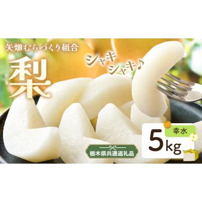 ふるさと納税 野木町 梨 なし 幸水 約 5kg 矢畑むらづくり組合[7月下旬-8月中旬頃出荷予定]