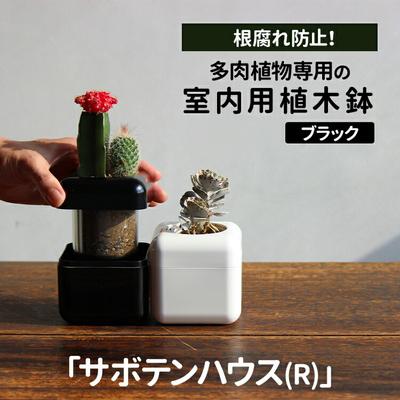 ふるさと納税 古河市 [ブラック]多肉植物専用の室内用植木鉢「サボテンハウス(R)」 キューブ型 _GD02