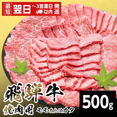 ふるさと納税 七宗町 飛騨牛 モモまたはカタ 焼肉 赤身 500g BBQ 養老ミート