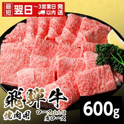 ふるさと納税 七宗町 飛騨牛 ロースまたは肩ロース 焼肉用 600g BBQ 焼肉 養老ミート