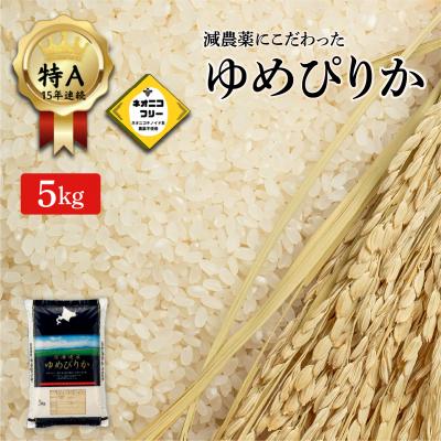 ふるさと納税 岩見沢市 令和7年産 アグリプロ未来のゆめぴりか 5kg[a178-001]北海道 岩見沢市 北海道産 お米