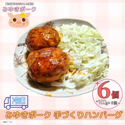 ふるさと納税 飯山市 [冷凍配送]みゆきポーク手作りハンバーグ(6個入り)