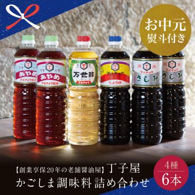 ふるさと納税 南さつま市 [お中元ギフト]創業享保20年の老舗醤油屋 丁子屋のかごしま醤油 詰め合わせ(4種) 6本セット