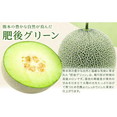 ふるさと納税 氷川町 ＼5月25日まで!/肥後グリーンメロン 1玉 株式会社エフビーネット[4月上旬-6月中旬頃出荷]