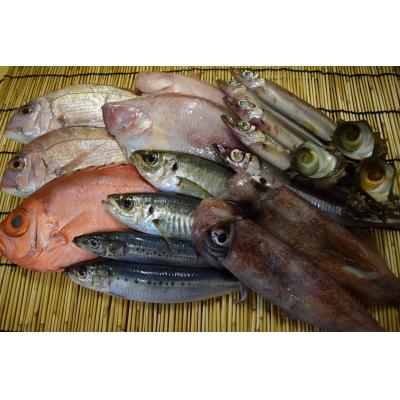 ふるさと納税 境港市 <土日祝着>おすすめ鮮魚詰め合わせ(4〜5種類)[7〜8月・年末年始配送不可]
