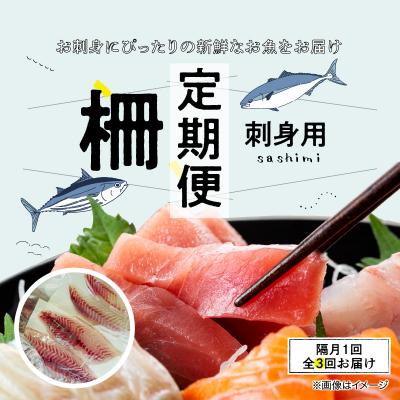 ふるさと納税 天草市 指定日必須[隔月 3回お届け]お刺身用柵定期便_S121-T04