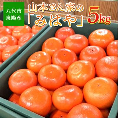 ふるさと納税 八代市 [先行予約]「みはや」 5kg みかん [2026年12月上旬より順次発送]_065-2660-B