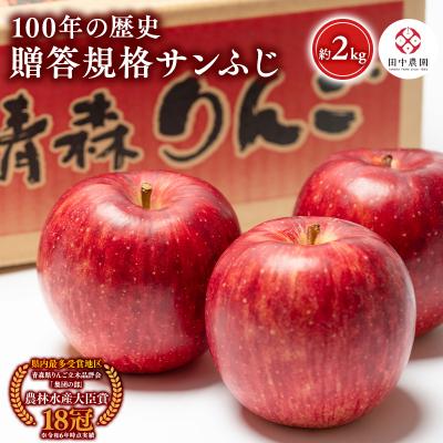 ふるさと納税 平川市 12月 100年の歴史 贈答規格サンふじ 約2kg[田中農園・青森県平川市産・青森りんご]