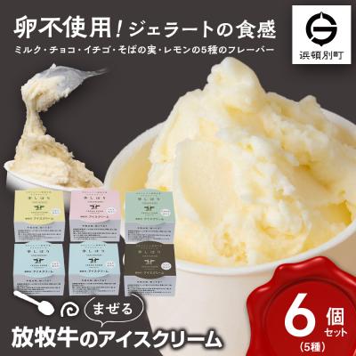 ふるさと納税 浜頓別町 放牧牛 アイスクリーム 食べ比べセット(ミルク2個・イチゴ1個・そばの実1個・チョコ1個・レモン仕立