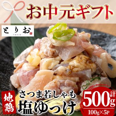 ふるさと納税 いちき串木野市 [お中元]鹿児島県産!味付き 鳥刺し 塩ゆっけ 500g(100g×5) 冷凍 小分け 国産 地鶏