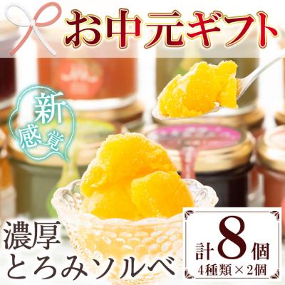 ふるさと納税 いちき串木野市 [お中元]新感覚アイス!"濃厚とろみソルベ"4種のこだわり素材を使用したソルベ詰め合わせ♪