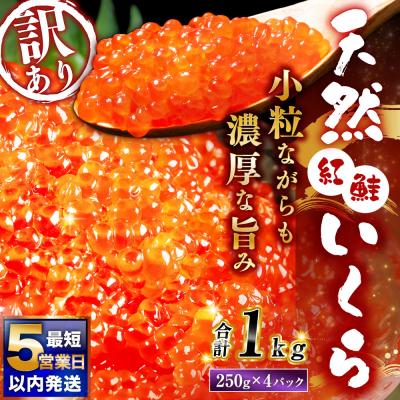ふるさと納税 釧路市 [ 5営業日以内発送 ] 紅鮭いくら醤油漬け 1kg ( 250g × 4 )