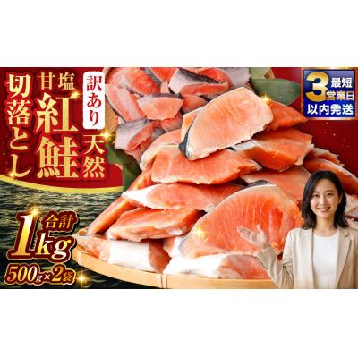 ふるさと納税 釧路市 [ 訳あり ] 天然甘塩紅鮭切落し 500g × 2袋 1kg