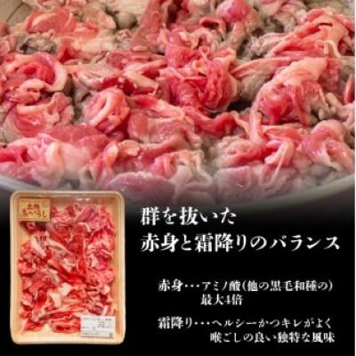 ふるさと納税 安田町 土佐あかうし 切り落とし 600g