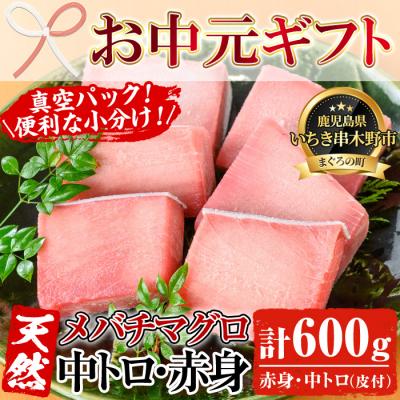ふるさと納税 いちき串木野市 [お中元]天然! 旬の メバチマグロ 約600g(中トロ 100g×2 赤身 100g×4)