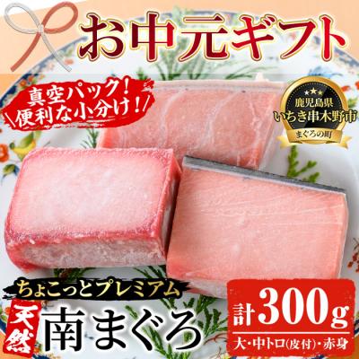 ふるさと納税 いちき串木野市 [お中元][ちょこっとプレミアム]天然南まぐろフルセット 計約300g