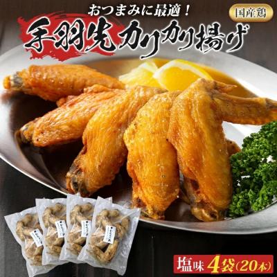 ふるさと納税 古賀市 手羽先カリカリ揚げ(塩味)20本(5本入り×4袋)