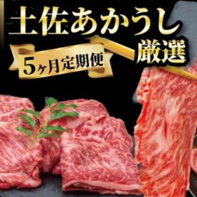 ふるさと納税 安田町 希少 土佐あかうし 定期便 5回