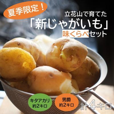 ふるさと納税 新宮町 [夏季限定]立花山で育てた「新じゃがいも」2種味くらべセット(約4kg)