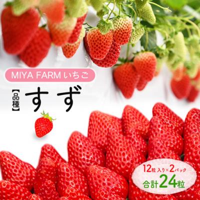 ふるさと納税 春日井市 [先行予約]MIYA FARM いちご(品種:すず)12粒入り×2パック 合計 24粒
