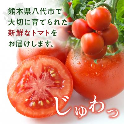 ふるさと納税 八代市 【先行予約】 熊本県八代市産 トマト 約4kg 【2027年1月上旬より順次発送】_229-6721_2