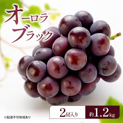 ふるさと納税 赤磐市 ぶどう 2026年 先行予約 オーロラブラック (2房) 約1.2kg [NO5765-1525]