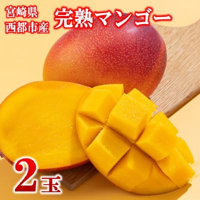 ふるさと納税 西都市 [フルーツ専門店厳選]宮崎完熟マンゴー2玉(計500g)宮崎県西都市産[3248]