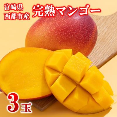 ふるさと納税 西都市 【フルーツ専門店厳選】宮崎完熟マンゴー3玉(計750g)宮崎県西都市産【先行受付】[3250] | 