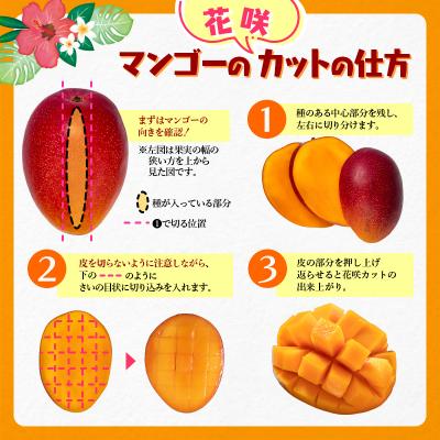 ふるさと納税 西都市 【フルーツ専門店厳選】宮崎完熟マンゴー3玉(計750g)宮崎県西都市産【先行受付】[3250] |  | 03