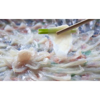 ふるさと納税 下関市 【配送日時指定必須】 国産とらふぐ料理セット 4人前 冷蔵 BW7005_1
