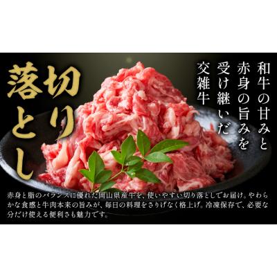 ふるさと納税 笠岡市 [3ヶ月定期便]岡山県産牛 切り落とし 500g