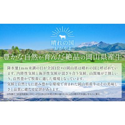 ふるさと納税 笠岡市 牛肉 国産 切り落とし ミンチセット 岡山県産牛 1kg[60日以内に出荷予定(土日祝除く)]