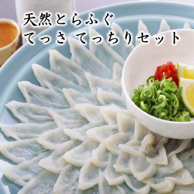 ふるさと納税 宗像市 天然とらふぐ てっさ てっちりセット[マルケイ水産]