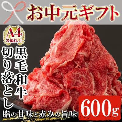 ふるさと納税 いちき串木野市 [お中元]鹿児島尾崎牧場産黒毛和牛切り落とし 約600g(300g×2P)