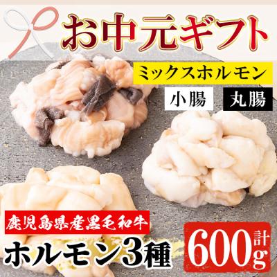 ふるさと納税 いちき串木野市 [お中元]黒毛和牛ホルモン3種セット(小腸・丸腸・ミックスホルモン各200g)