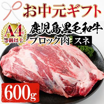 ふるさと納税 いちき串木野市 [お中元]黒毛和牛スネ肉ブロック 600g