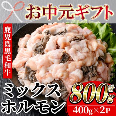ふるさと納税 いちき串木野市 [お中元]黒毛和牛ミックスホルモン(800g)