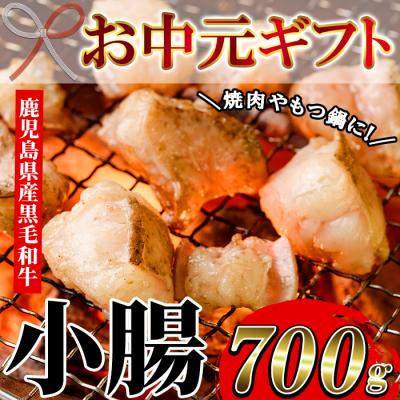 ふるさと納税 いちき串木野市 [お中元]黒毛和牛小腸700g