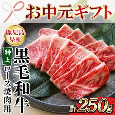 ふるさと納税 いちき串木野市 [お中元]鹿児島県産 黒毛和牛 特上ロース 250g 国産 冷凍 和牛 焼肉におすすめ