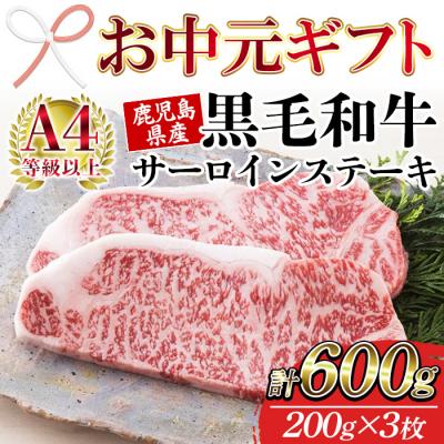 ふるさと納税 いちき串木野市 [お中元]鹿児島県産 黒毛和牛 サーロインステーキ 200g×3枚 詰合せ