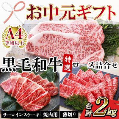 ふるさと納税 いちき串木野市 [お中元]鹿児島県産 黒毛和牛 サーロインステーキ 1kg 特選ロース 1kg 詰合せ