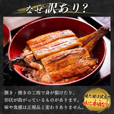 ふるさと納税 香南市 うなぎの蒲焼き人気 計約400g 2尾 【訳あり】国産 Sfb-0228 |  | 01