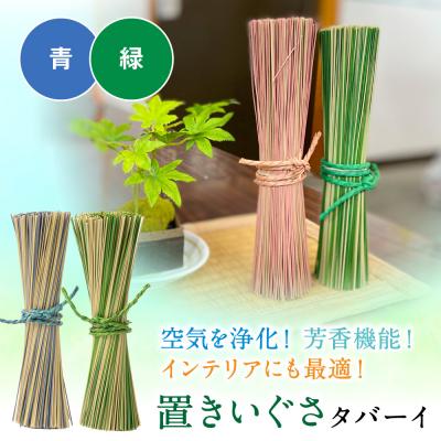 ふるさと納税 八代市 置きいぐさ(タバーイ)2本セット 青×緑_024-4648-BG-B