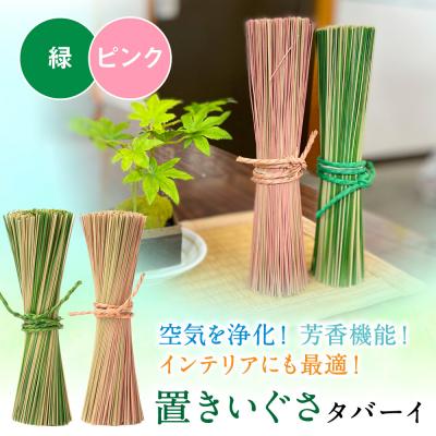 ふるさと納税 八代市 置きいぐさ(タバーイ)2本セット 緑×ピンク_024-4648-GP-B